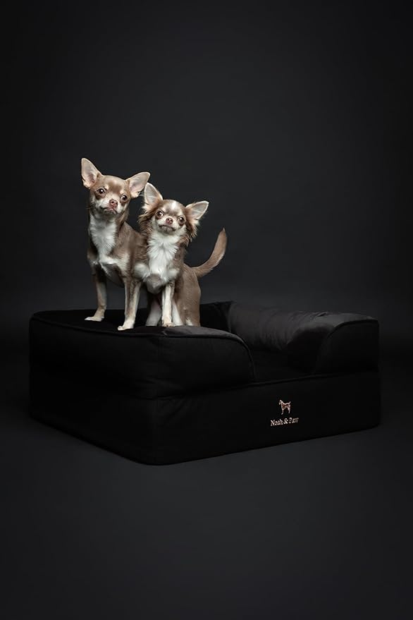 NOAH & PAW Dog Bed, 28x23x11 Inch, Orthopedic Dog Beds for Medium Size Pets, Eggshell Memory Foam Infused with Cooling Gel, Inner Cover, Waterproof, Machine Washable (Denim Sofa Collection)
