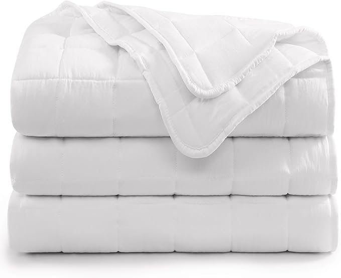 Casa Platino White Ultra Soft Pre-Washed Lightweight Down Alternative All Season Twin Size Bed Blanket