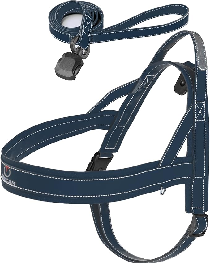 Magnetic Dog Harness and Leash Set with Quick Release Buckle, Easy On & Off Faux Leather Puppy Harness and Leash with Handle for Medium, Large Sized Dog