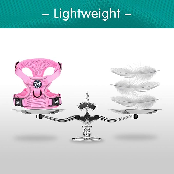 PoyPet Reflective Soft Breathable Mesh Dog Harness No Choke Double Padded Vest Adjustable(Light Pink,S)