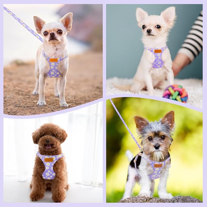 Lukovee Puppy Harness and Leash Set, No Pull Lightweight Soft Suede Adjustable Pet Harness Vest with Snap Buckle for Puppy Small and Medium Size Dog (Purple-XS)