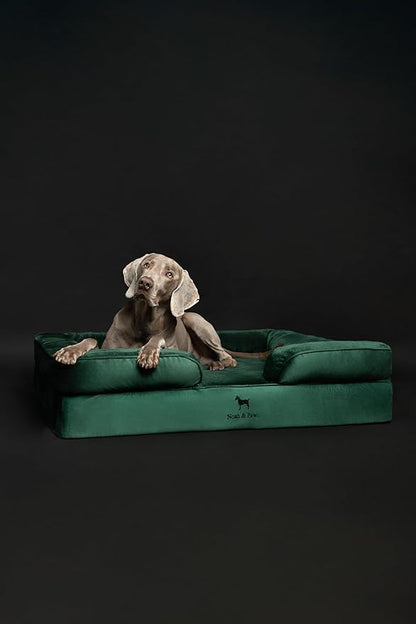 NOAH & PAW XL Dog Bed, 45x35x11 Inch, Orthopedic Large Dog Beds, Eggshell Memory Foam Infused with Cooling Gel, Inner Cover, Waterproof, Machine Washable (Velvet Sofa Collection)