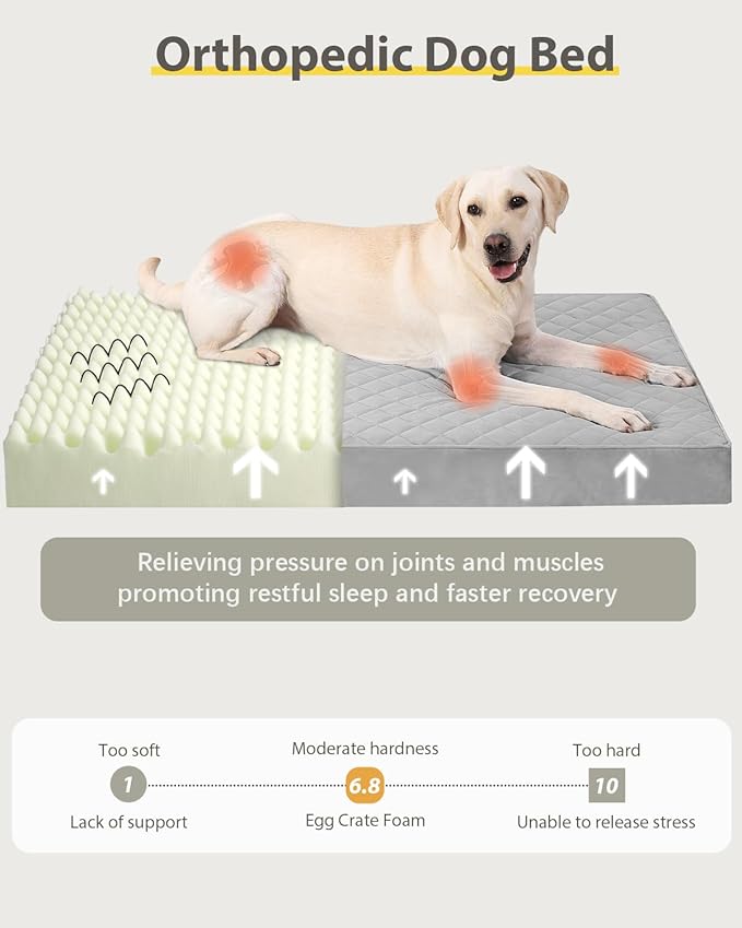 NUPIDA Orthopedic Dog Beds for Extra Large Dogs Waterproof with Removable Washable Cover and Non-Slip Bottom, 47x29 Inch, Light Gray
