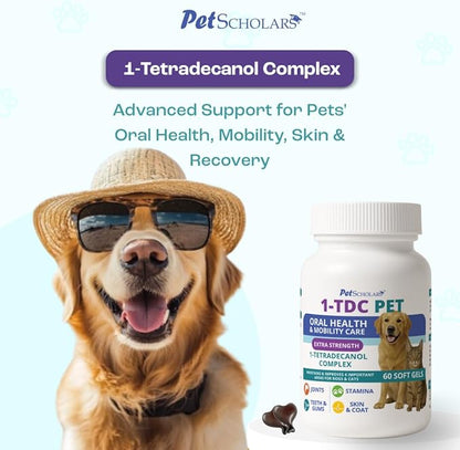 1TDC Dental & Joint Health Softgel Supplement for Dogs & Cats, Supports Oral Health, Stamina, Mobility, Muscle Strength & Recovery, Maintains Skin & Coat Health of Pets (60 Soft Gels)