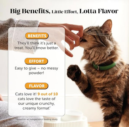 Cat Immune Support Lysine – Allergy Relief & Immune Health Supplement for Cats with L-Lysine, Colostrum, Quercetin & Omega-3 – Soothes Sneezing, Runny Nose & Itchy Skin Chicken, (90-Day Supply)