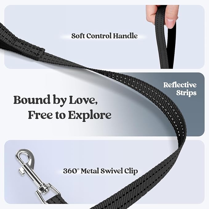 rabbitgoo Dog Harness Small Sized and Leash Set, Step in Soft Light Puppy Vest, Breathable Mesh Pet Harness, Reflective for Safe Easy Walking, Black M