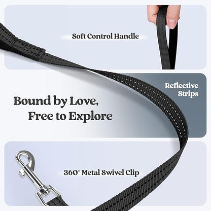 rabbitgoo Dog Harness Small Sized and Leash Set, Step in Soft Light Puppy Vest, Breathable Mesh Pet Harness, Reflective for Safe Easy Walking, Black XS