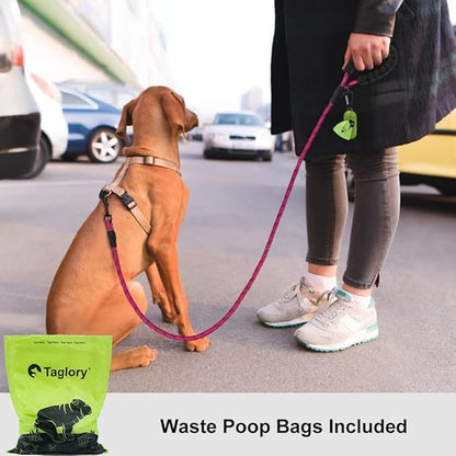 Taglory Rope Dog Leash 4 FT with Comfortable Padded Handle, Highly Reflective Threads Leash and Anti-Tangle Clip for Walking Small Dogs, 3/8 inch, Hotpink