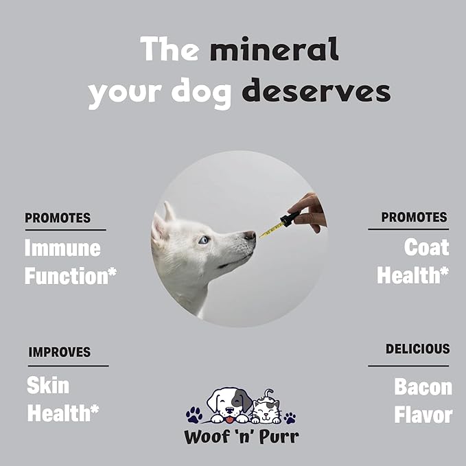 Zinc for Dogs - Dog Zinc Supplement - Helps to Support Healthy Skin, Coat, Immune Health & More - Dog Zinc - Dog Skin and Coat Supplement - Skin and Coat Supplement for Dogs - 1 fl oz - Bacon Flavor