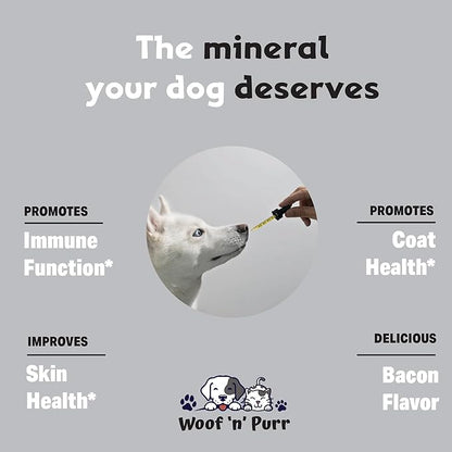 Zinc for Dogs - Dog Zinc Supplement - Helps to Support Healthy Skin, Coat, Immune Health & More - Dog Zinc - Dog Skin and Coat Supplement - Skin and Coat Supplement for Dogs - 1 fl oz - Bacon Flavor