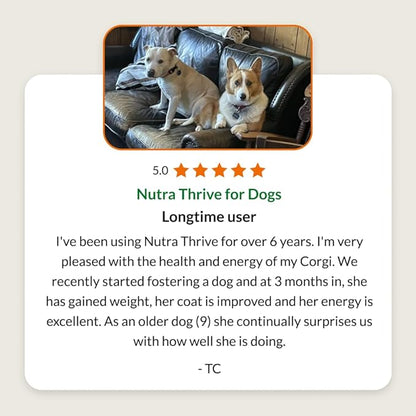 Ultimate Pet Nutrition Nutra Thrive Canine, 40-in-1 Nutritional Powder Supplement for Dogs with Digestion and Immune Support, Vitamins, Minerals, Probiotics, Enzymes, 30 Scoops