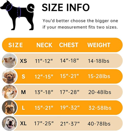 IVY&LANE No Pull Dog Harness for Large Dogs, Dog Vest Harness with Leash, Safety Belt and Storage Strap, Fully Adjustable Harness, 360° Reflective Strip, Soft Handle (Orange, L)
