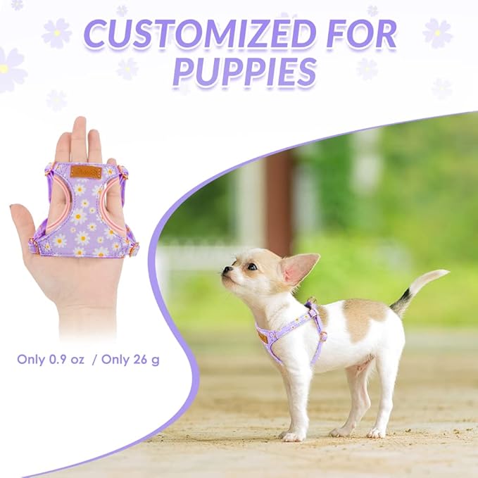 SlowTon Dog Harness Small Sized Dog - Soft XXS Dog Harness and Leash Set No Pull No Chock, Adjustable Lightweight Puppy Harness for XS Small Medium Dogs Cats (Purple Dasiy, S)