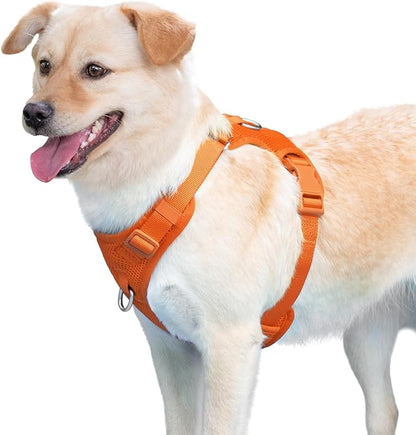 No Pull Dog Harness for Small Medium Large Dogs - Adjustable 2 Layer Mesh Dog Vest with Dual Clip, Escape Proof, Quick Release, Lightweight Breathable Mesh for Walking Hiking (Orange,S)