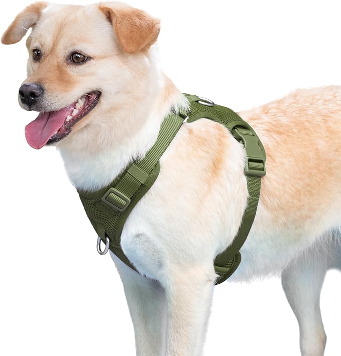 No Pull Dog Harness for Small Medium Large Dogs - Adjustable 2 Layer Mesh Dog Vest with Dual Clip, Escape Proof, Quick Release, Lightweight Breathable Mesh for Walking Hiking (Misty Green,XS)