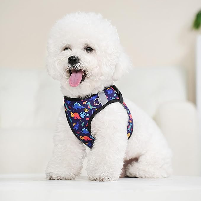 Small Dog Harness Black Dinausor No Pull Step in Vest Harness Mesh Padded Soft Harness for Small Medium Dogs Cats
