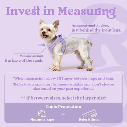 rabbitgoo Small Dog Harness, Step-in Soft Mesh Puppy Vest with Safety Buckle, Breathable Reflective Pet Harness for Large Dogs, Light Purple XXL