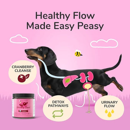 kin+kind Pet Vitamins and Supplements - Immune Support Supplement for Dogs & Cats - Natural Dog Supplements & Cat Supplements w/Organic Ingredients for Healthy Immunity - Made in USA - 4 oz (Medium)