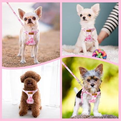 Lukovee Puppy Harness and Leash Set, No Pull Lightweight Soft Suede Adjustable Pet Harness Vest with Snap Buckle for Puppy Small and Medium Size Dog (Pink Strawberry, XS)