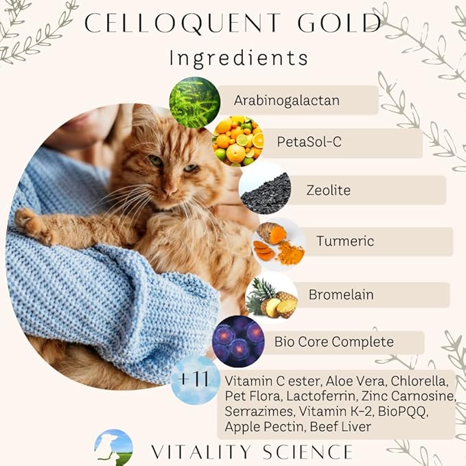 Vitality Science Celloquent Gold for Dogs | Holistic Advanced Immune Support Supplement | 17 Proven Ingredients | Auto Immune, Vomiting and Diarrhea, Depression (220g)