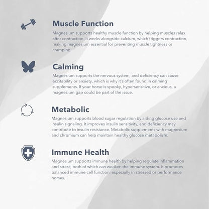 Magnesium 5000 (10lb) Calming/Metabolism/Muscle Function Support for Horses.