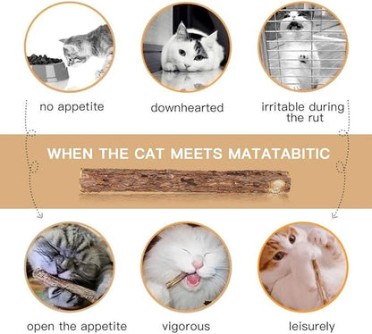WoLover 20 PCS Cat Catnip Sticks Natural Matatabi Silvervine Sticks - Cleaning Teeth Molar Tools Kitten Chew Toy Natural Catnip Cats Toy
