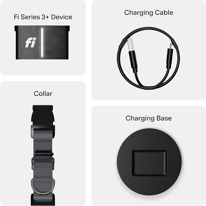 Fi New Series 3+ Smart Dog Tracker Collar [6 Month Membership Included] GPS Tracker for Dogs with Health & Behavior Monitoring, Escape Alerts, Waterproof, LED, Apple Watch Compatible (Gray, Medium)