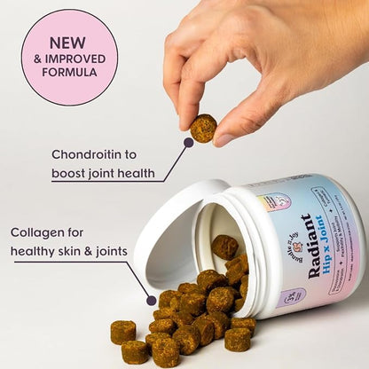 Bundle x Joy Radiant Hip and Joint Support Supplement for Dogs, 90 Soft Chews, Glucosamine Chondroitin for Dogs with Collagen, Turmeric, MSM, Colostrum, Helps Support Mobility and Flexibility