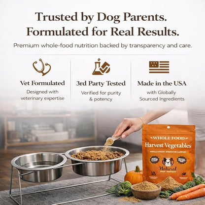 Natural Dog Company Pumpkin Digestive Support Granules Dog Food Topper - Fiber-Rich, Nutrient-Dense Superfood Blend for Gut Health, Holistic Care, Prebiotics