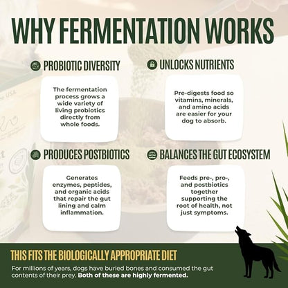 Gussy's Gut Daily Boost- Fermented Organic Superfood Reset & Reboot Dog Gut Health- Human Grade Pre & Probiotic Digestive Supplement- USA Made Small Batch 19 Ingredient Formula Reset Phase (7.5 Oz)