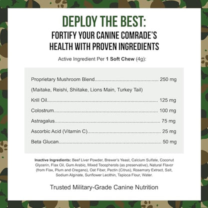Immune Support Soft Chews for Dogs, Immune Health Supplement, 90 Count, Natural Ingredients, Beef Liver Flavor, Veteran Owned – Operation Good Boy