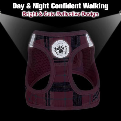 BEAUTYZOO Small Dog Harness and Leash Set,Step in No Choke No Pull Soft Mesh Dog Harnesses Reflective for Extra-Small/Small Medium Puppy Dogs and Cats, Plaid Dog Vest Harness for XS S Pets, Pink L