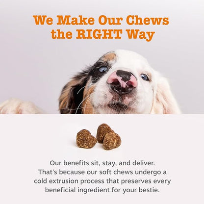 Zesty Paws Chew No Poo Bites for Dogs - Coprophagia Relief - Stool Eating Deterrent Soft Chews for Dogs - Gut, Periodontal & Immune System Support with Probiotics - Chicken - 90 Ct (Pack of 2)