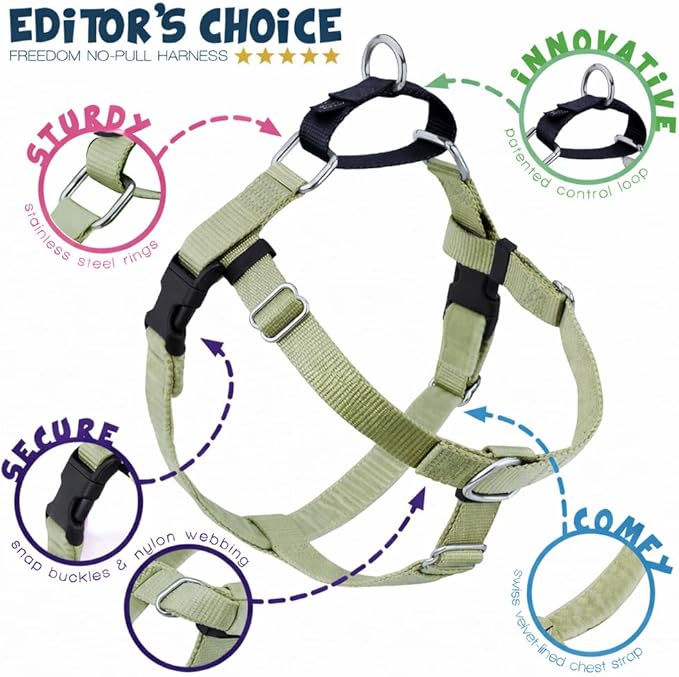 2 Hounds Design Freedom No Pull Dog Harness, Adjustable Harness and Leash Set, Easy Walking & Comfortable Control, Fits Small, Medium & Large Dogs, Solid Colors, Made in USA, 1" XXL, Tan