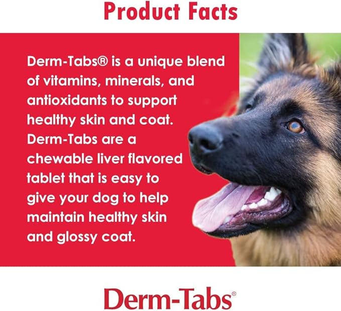 Pet Health Solutions Derm Tabs Extra Strength for Dogs - Natural Oil, Vitamins, Minerals, and Antioxidants - Support Healthy Skin and Reduce Shedding - 360 Chewable Tablets