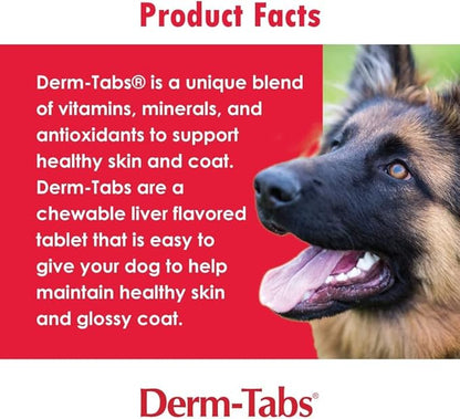 Pet Health Solutions Derm Tabs Extra Strength for Dogs - Natural Oil, Vitamins, Minerals, and Antioxidants - Support Healthy Skin and Reduce Shedding - 360 Chewable Tablets