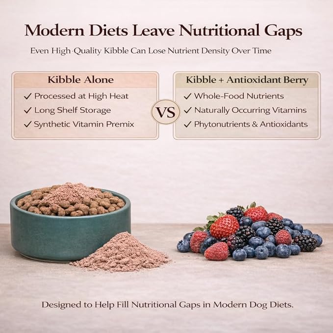 Natural Dog Company Dog Food Topper, Antioxidant Berry Vitamins & Superfood Meal Topper Supplement, Holistic Nutrition, Dog Food Seasoning, Immune Support, All Breeds, Ages, & Sizes of Dogs, 8oz Bag