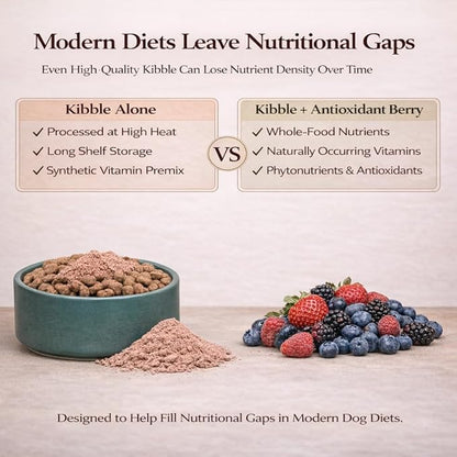 Natural Dog Company Dog Food Topper, Antioxidant Berry Vitamins & Superfood Meal Topper Supplement, Holistic Nutrition, Dog Food Seasoning, Immune Support, All Breeds, Ages, & Sizes of Dogs, 8oz Bag