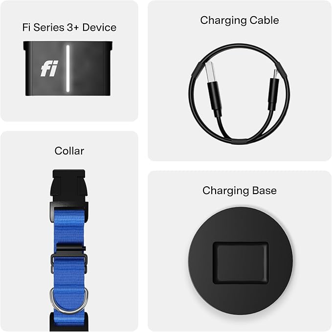 Fi New Series 3+ Smart Dog Tracker Collar [6 Month Membership Included] GPS Tracker for Dogs with Health & Behavior Monitoring, Escape Alerts, Waterproof, LED, Apple Watch Compatible (Blue, Small)