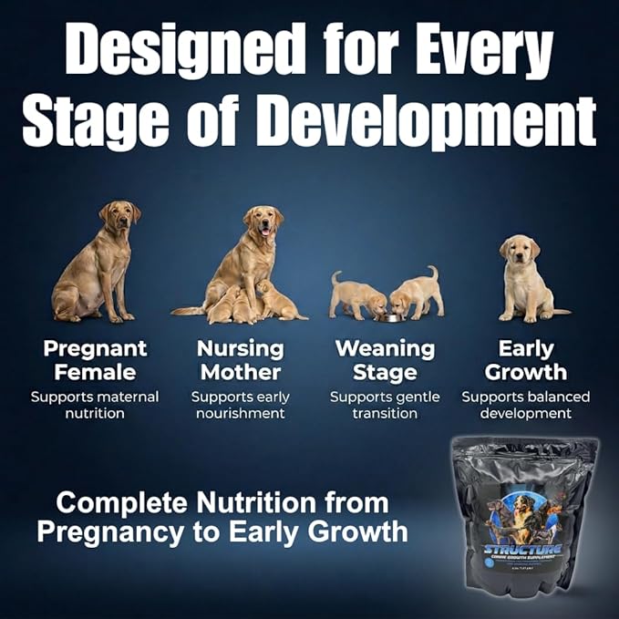 CPN Structure Premium Puppy Growth Supplement – Supports Muscle, Bone & Immune Development – 100% Human Grade Protein from Egg & Milk – Probiotics, Enzymes & Omegas (2 lbs)