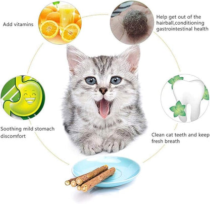 WoLover 20 PCS Cat Catnip Sticks Natural Matatabi Silvervine Sticks - Cleaning Teeth Molar Tools Kitten Chew Toy Natural Catnip Cats Toy