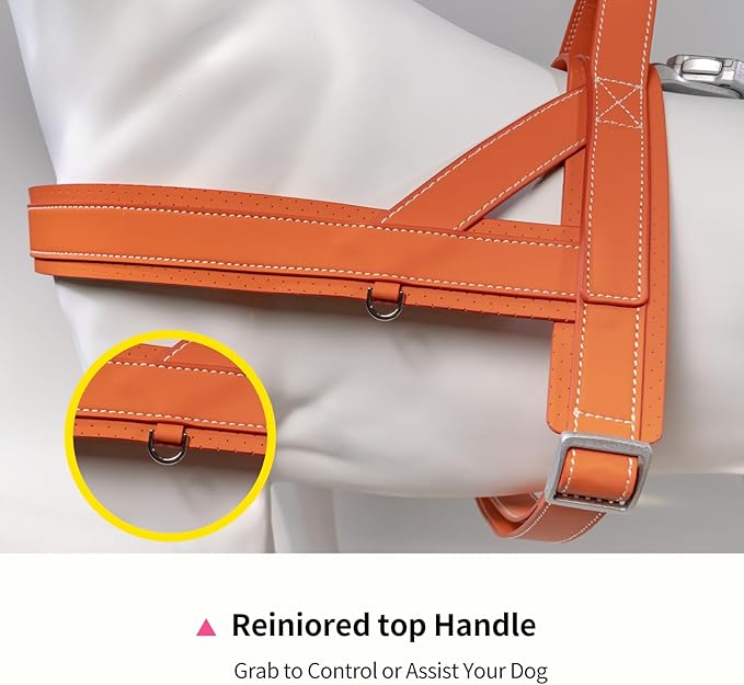 Magnetic Dog Harness and Leash Set with Quick Release Buckle, Easy On & Off Faux Leather Puppy Harness and Leash with Handle for Medium, Large Sized Dog