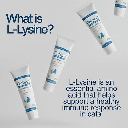 Felisyl L-Lysine Gel for Cats & Kittens (5oz) – Immune System, Respiratory & Eye Health Support. Reduces Sneezing, Runny Nose & Watery Eyes. Daily Salmon-Flavor Supplement – Made in USA (2 Pack)