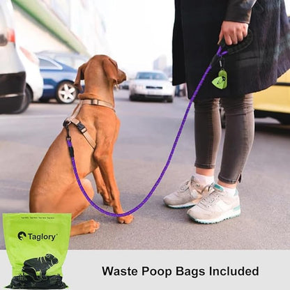Taglory Rope Dog Leash 6 FT with Comfortable Padded Handle, Highly Reflective Threads Leash and Anti-Tangle Clip for Walking Small Dogs, 3/8 inch, Purple
