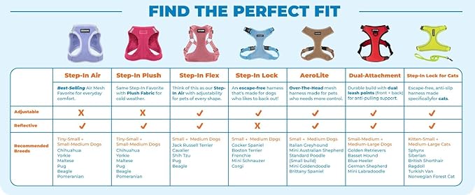 Voyager Escape-Proof Step-in Lock Cat Harness & 5ft Neoprene-Handle Leash Set All-Weather Mesh with Reflective Stitching for Small to Large Cats by Best Pet Supplies, Royal Blue/Black Trim, XS