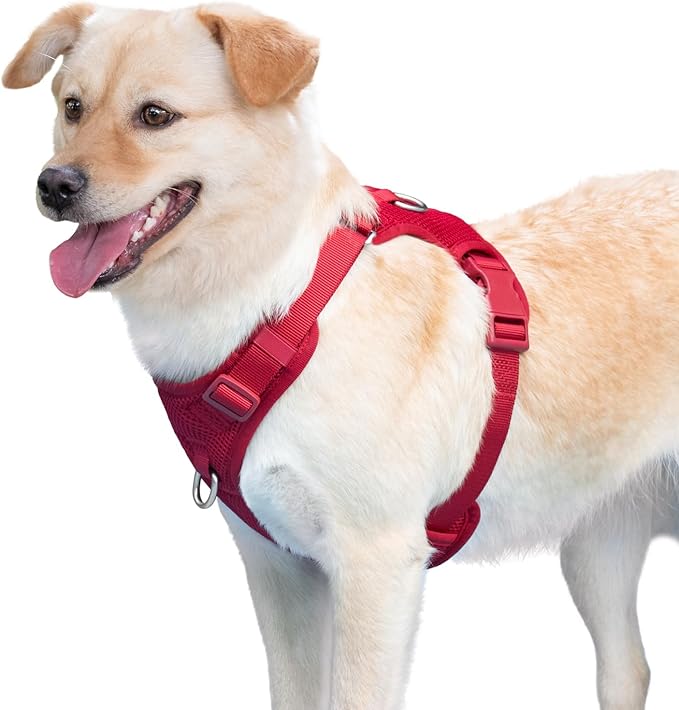 No Pull Dog Harness for Small Medium Large Dogs - Adjustable 2 Layer Mesh Dog Vest with Dual Clip, Escape Proof, Quick Release, Lightweight Breathable Mesh for Walking Hiking (Burgundy Red,M)