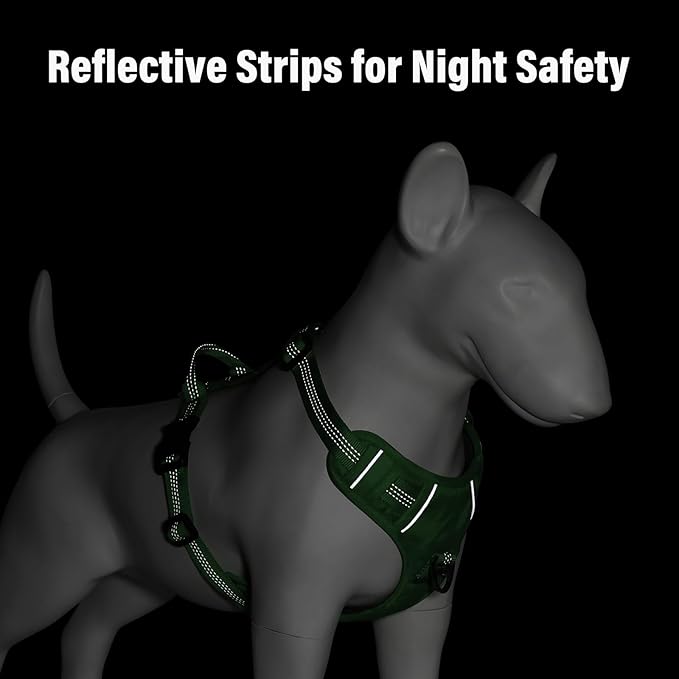 Plutus Pet No Pull Dog Harness, Reflective Adjustable Dog Vest Harness with Handle, Escape Proof, Soft Padded for Small Medium Large Dogs (Green, M)
