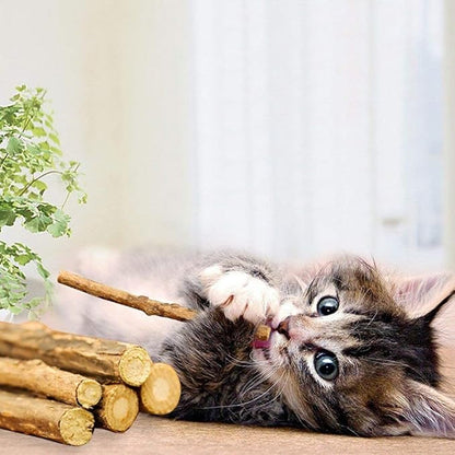 WoLover 20 PCS Cat Catnip Sticks Natural Matatabi Silvervine Sticks - Cleaning Teeth Molar Tools Kitten Chew Toy Natural Catnip Cats Toy