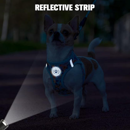 BEAUTYZOO Step in Dog Harness and Leash Set, Floral Pattern Reflective Dog Harness No Pull No Choke Puppy Harness for XXS XS S Dogs Cats, Soft Padded Mesh Vest Harnesses for Girl and Boy Pets