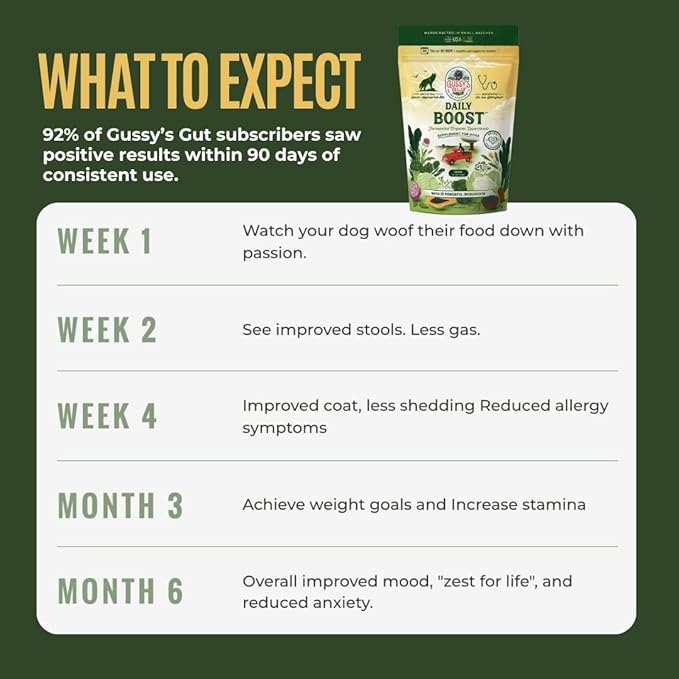 Gussy's Gut Daily Boost- Fermented Organic Superfood Reset & Reboot Dog Gut Health- Human Grade Pre & Probiotic Digestive Supplement- USA Made Small Batch 19 Ingredient Formula- Reset Phase (3 Oz)